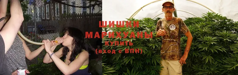 купить наркотики сайты  Сорочинск  Бошки марихуана Ganja 